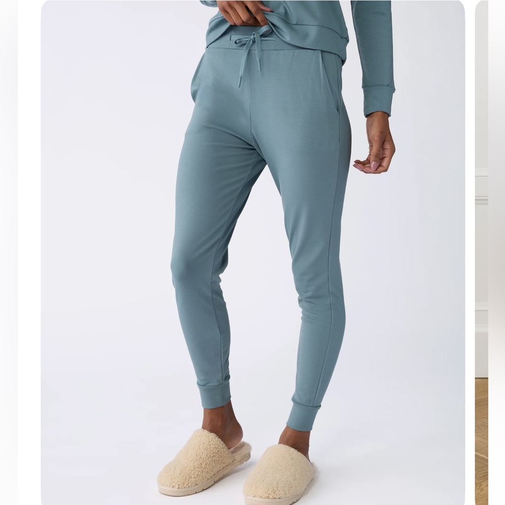 Cozy Earth Bamboo Joggers Oceanside L